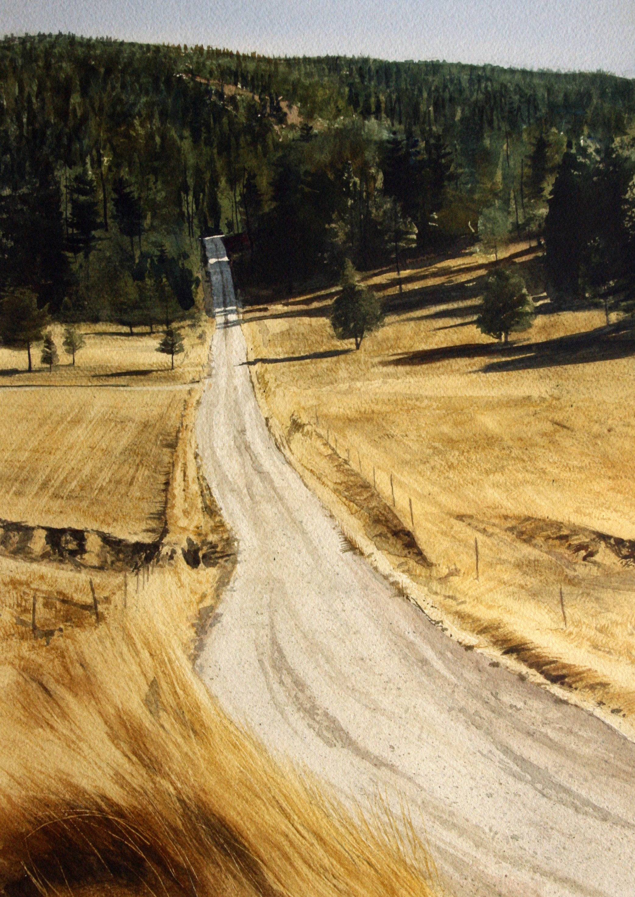 "Mountain Road (Cloudcroft)" Robert Highsmith
